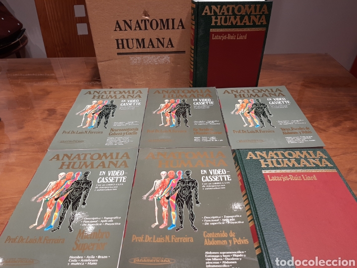 Enciclopedias de segunda mano: Anatom&iacute;a Humana - Foto 5