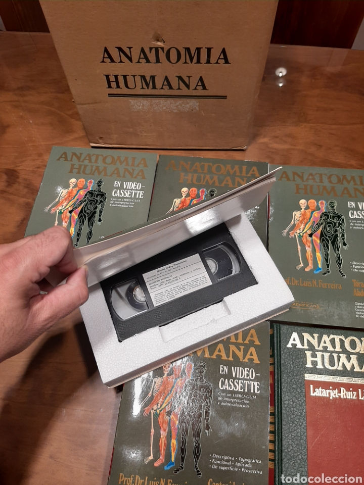 Enciclopedias de segunda mano: Anatom&iacute;a Humana - Foto 6