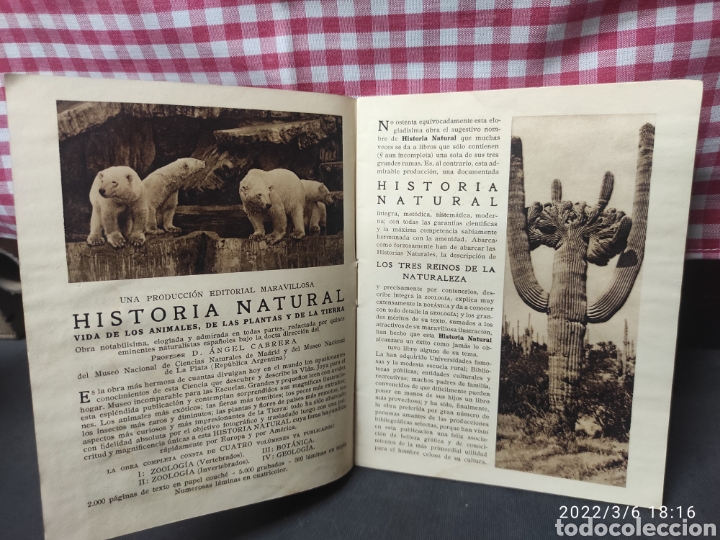 Enciclopedias de segunda mano: CATALOGO INSTITUTO GALLACH 1929 - Foto 2