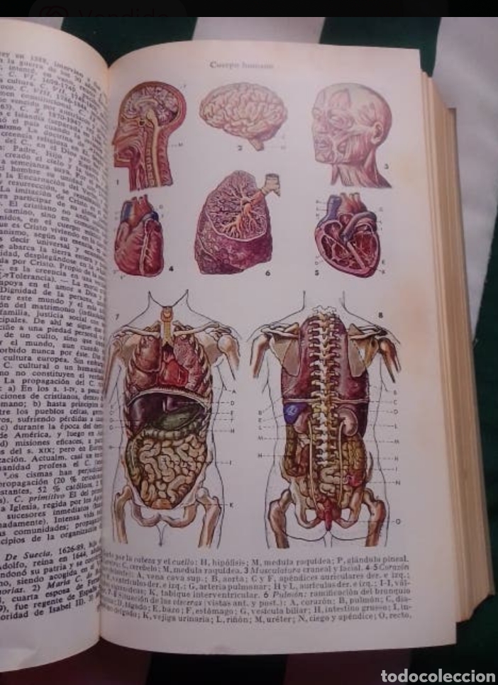 Enciclopedias de segunda mano: ENCICLOPEDIA UNIVERSAL (A&Ntilde;O 1954) - Foto 3