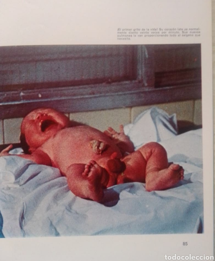Enciclopedias de segunda mano: EL MISTERIO DE LA VIDA (LIBRO) - Foto 2