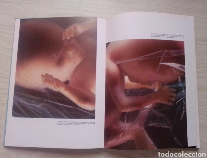 Enciclopedias de segunda mano: EL MISTERIO DE LA VIDA (LIBRO) - Foto 3