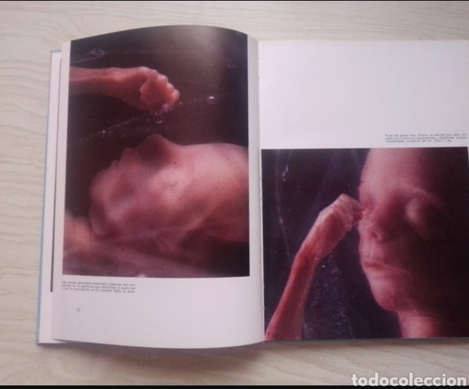 Enciclopedias de segunda mano: EL MISTERIO DE LA VIDA (LIBRO) - Foto 7