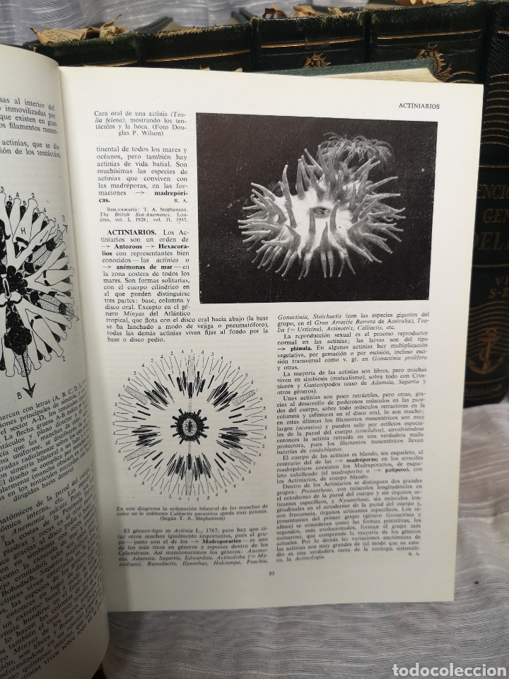 Enciclopedias de segunda mano: Enciclopedia General del Mar - Foto 7
