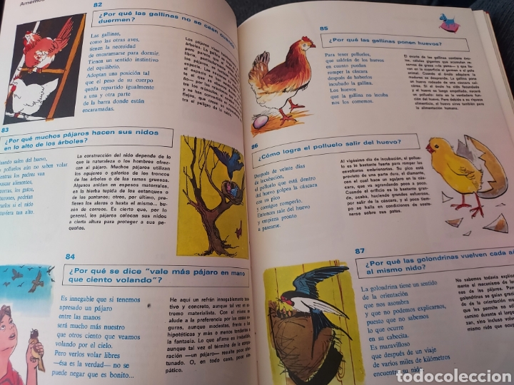 Enciclopedias de segunda mano: Enciclopedia de los 70 - Foto 21