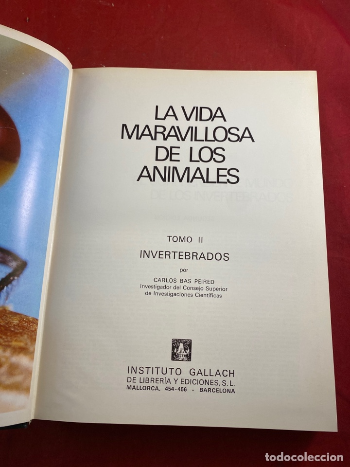 Enciclopedias de segunda mano: LA VIDA DE LOS ANIMALES VOL. 2 - Foto 2