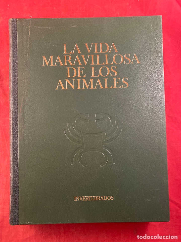 Enciclopedias de segunda mano: LA VIDA DE LOS ANIMALES VOL. 2 - Foto 1