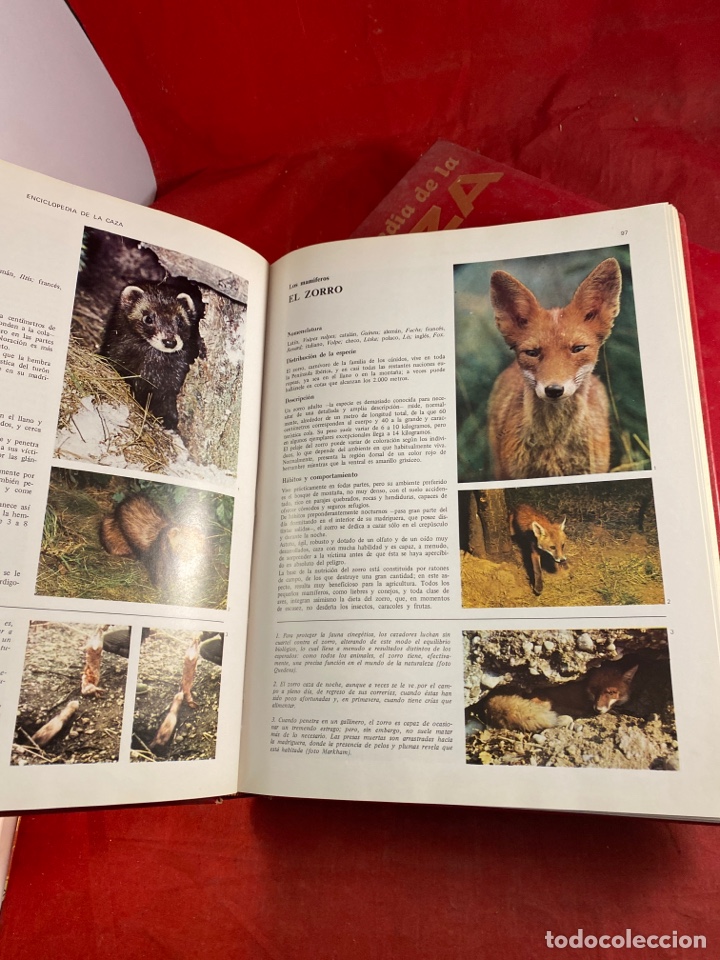 Enciclopedias de segunda mano: ENCICLOPEDIA DE LA CAJA - Foto 4