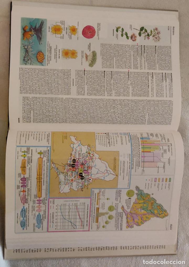 Enciclopedias de segunda mano: Gran Enciclopedia Larousse. - Foto 3