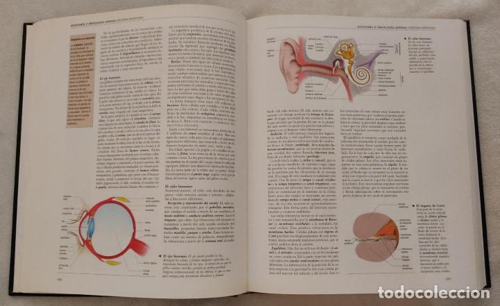 Enciclopedias de segunda mano: ENCICLOPEDIA DE LAS CIENCIAS. - Foto 3