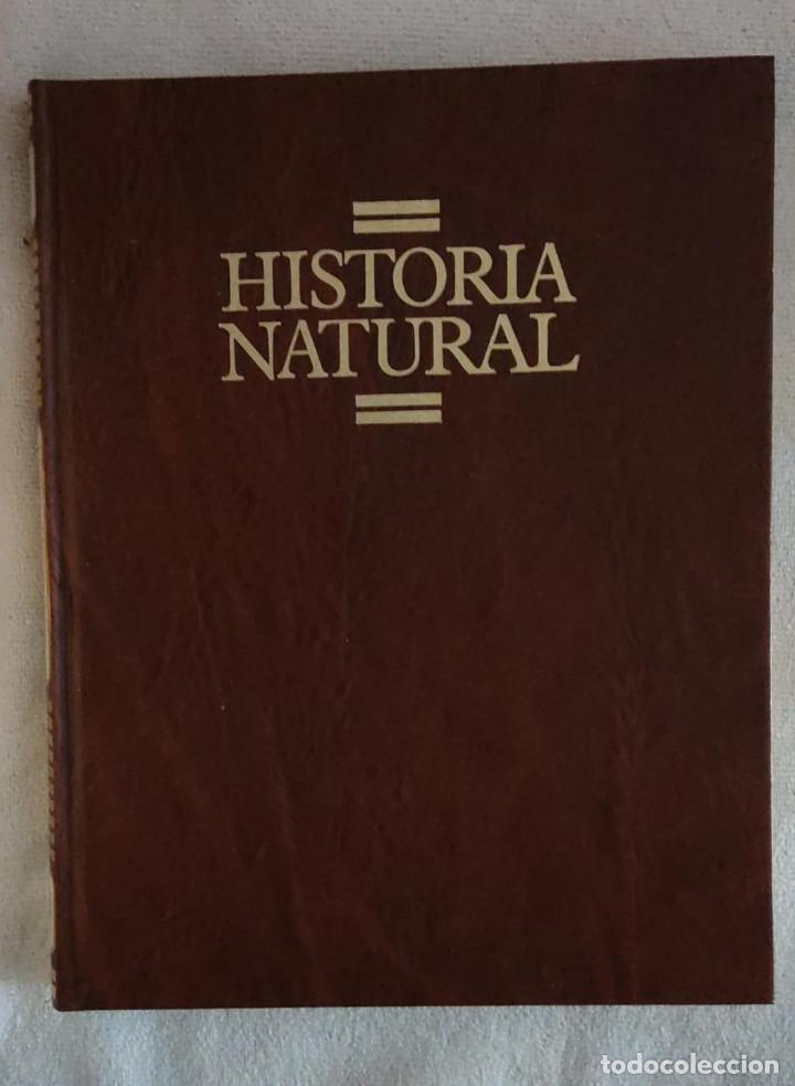 Enciclopedias de segunda mano: HISTORIA NATURAL. - Foto 1