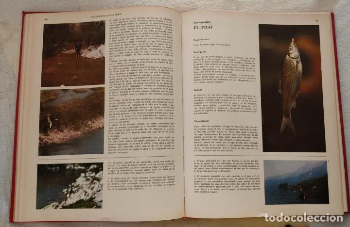 Enciclopedias de segunda mano: ENCICLOPEDIA DE LA PESCA. - Foto 4