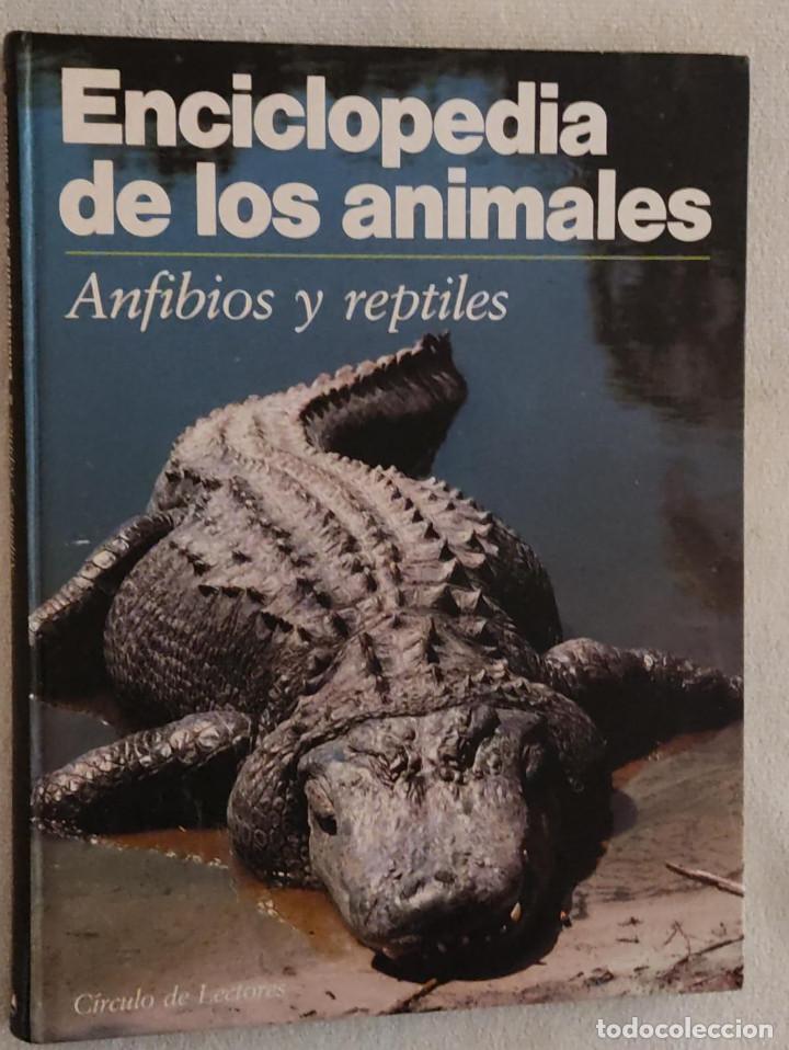 Enciclopedias de segunda mano: ENCICLOPEDIA DE LOS ANIMALES. - Foto 1