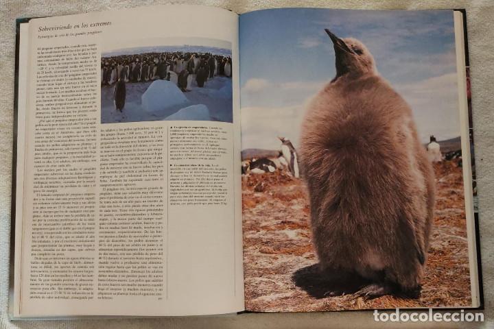 Enciclopedias de segunda mano: ENCICLOPEDIA DE LOS ANIMALES. - Foto 4