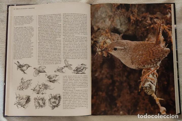 Enciclopedias de segunda mano: ENCICLOPEDIA DE LOS ANIMALES. - Foto 3