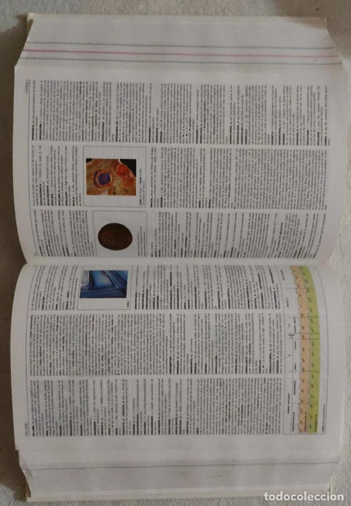 Enciclopedias de segunda mano: EL PEQUE&Ntilde;O LAROUSSE. - Foto 4