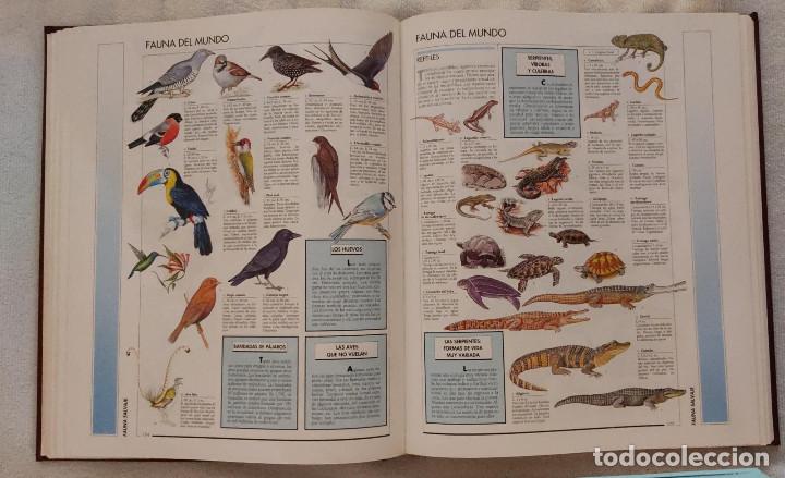 Enciclopedias de segunda mano: ENCICLOPEDIA TEM&Aacute;TICA LAROUSSE. - Foto 4