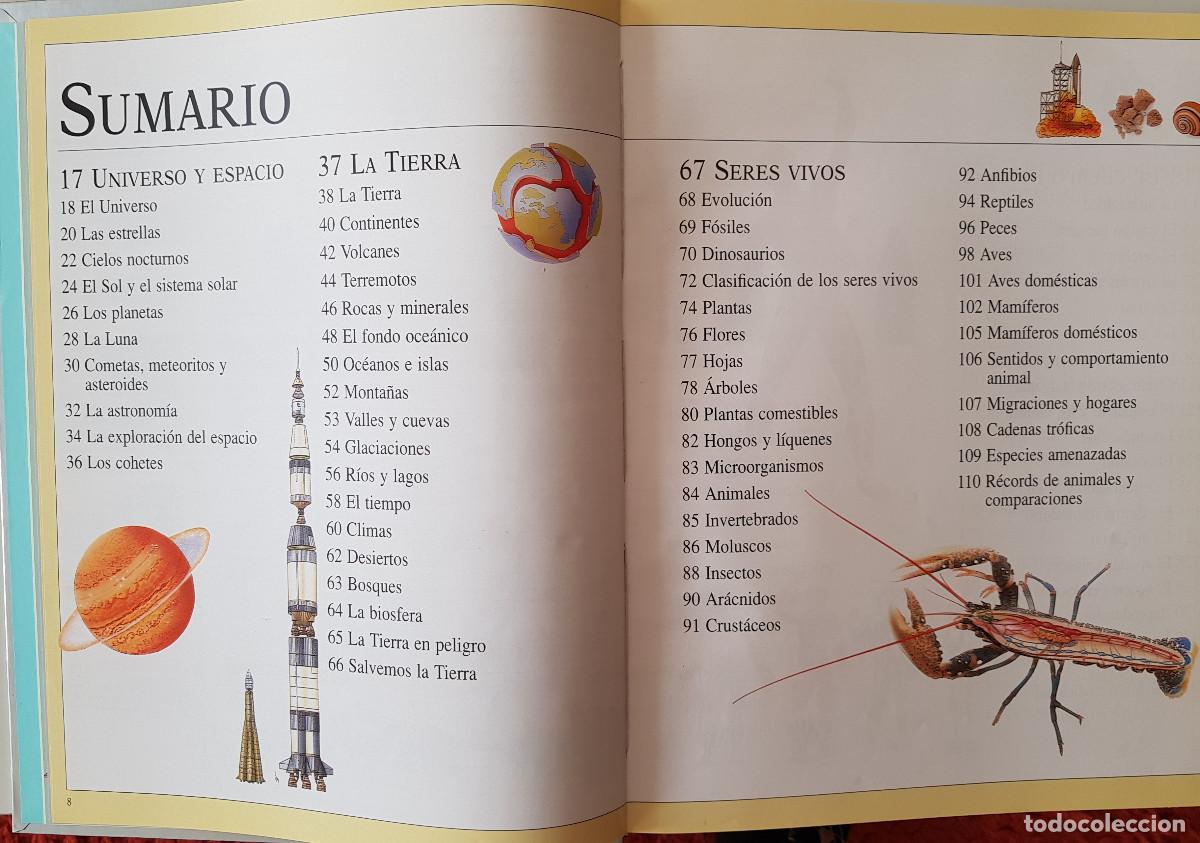 Enciclopedias de segunda mano: El Gran Libro de Consulta - El Pa&iacute;s/Altea - Foto 2