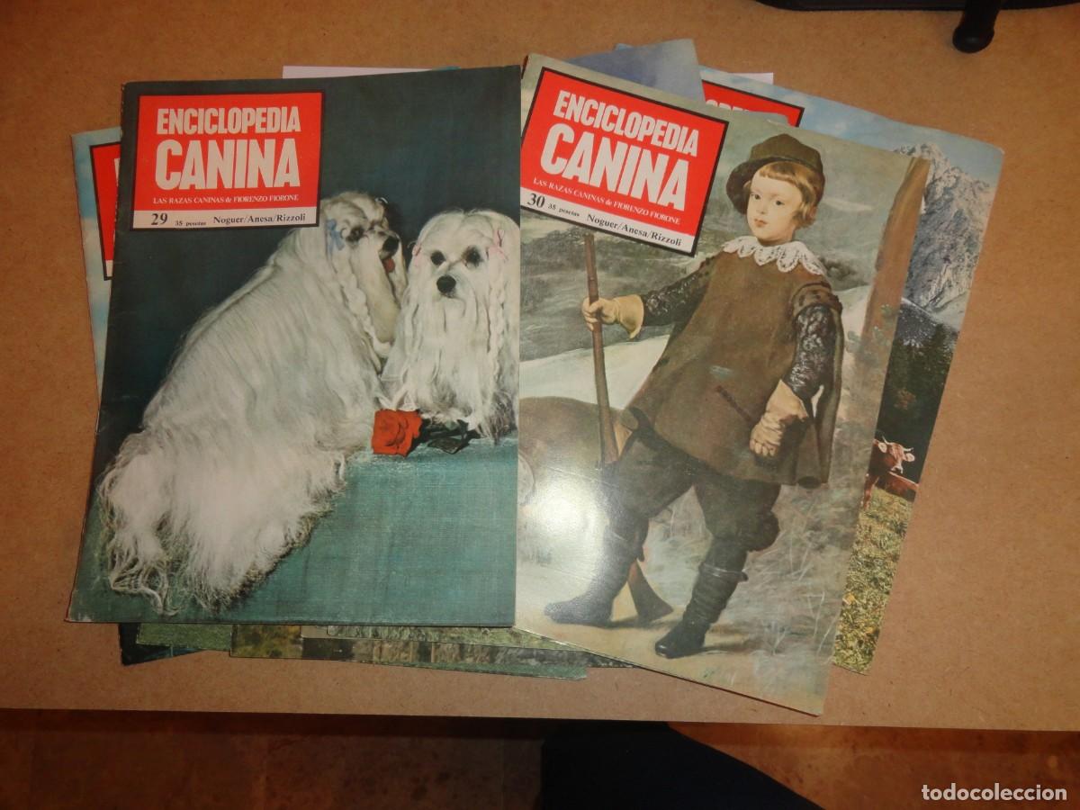 Enciclopedias de segunda mano: ENCICLOPEDIA CANINA - Foto 1