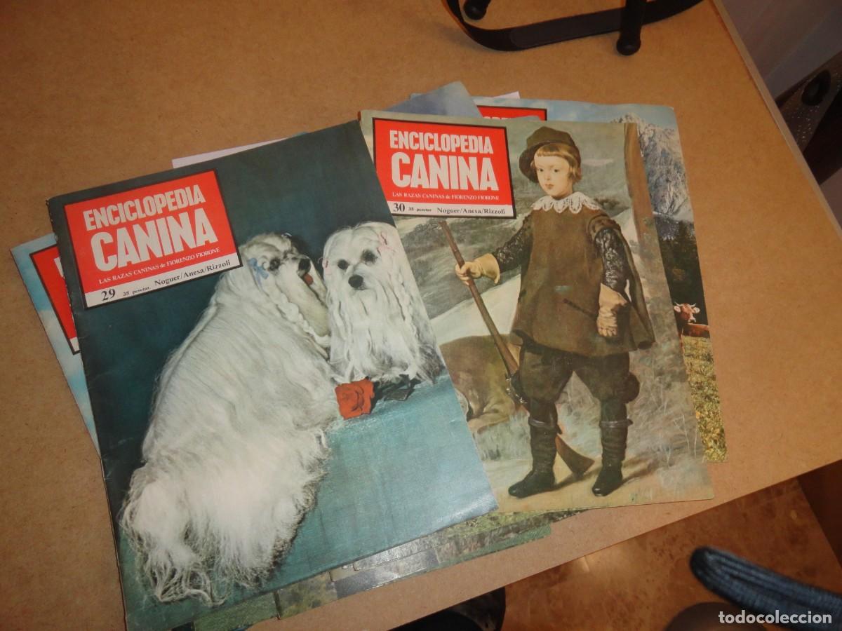 Enciclopedias de segunda mano: ENCICLOPEDIA CANINA - Foto 2
