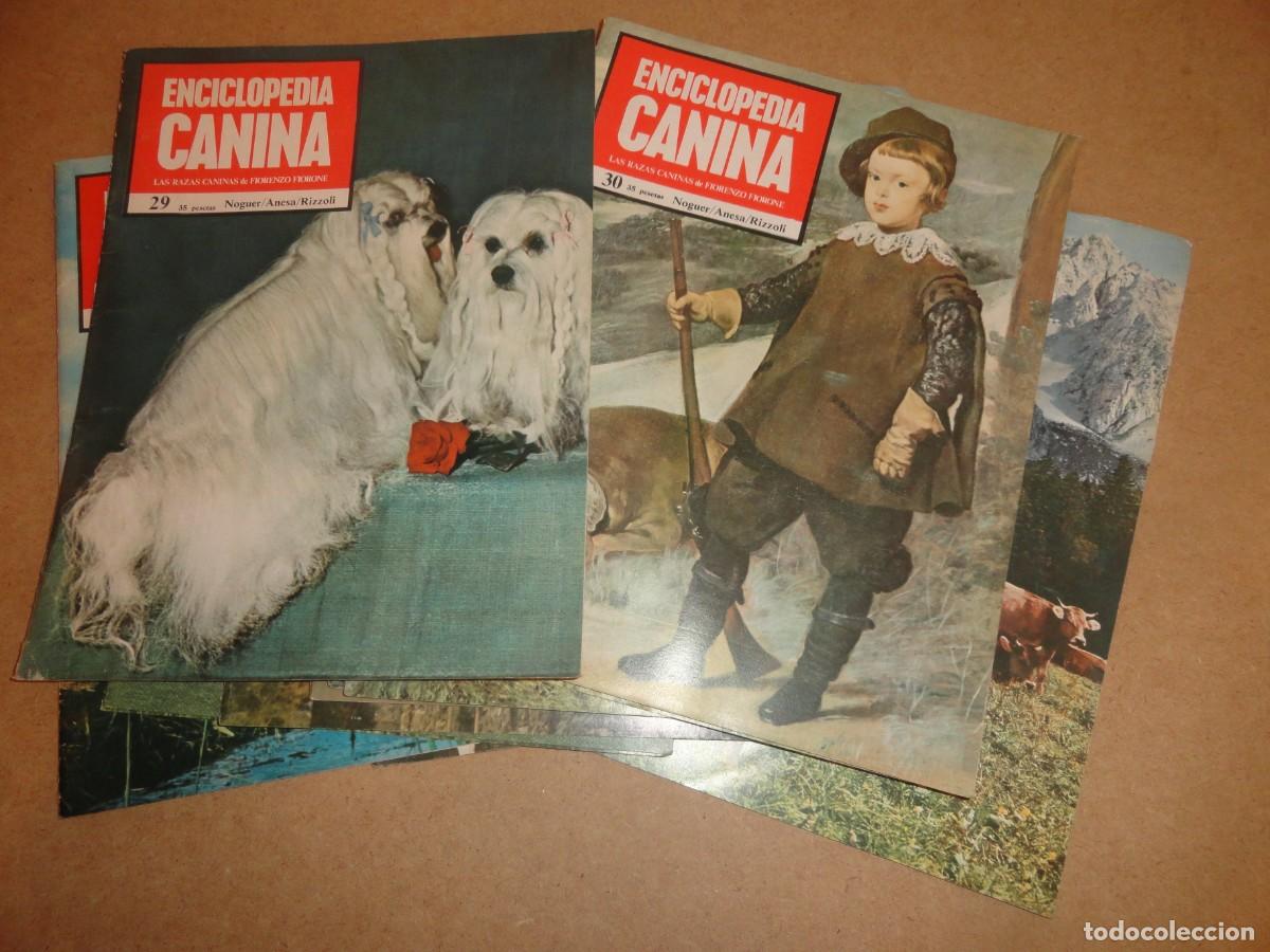 Enciclopedias de segunda mano: ENCICLOPEDIA CANINA - Foto 3