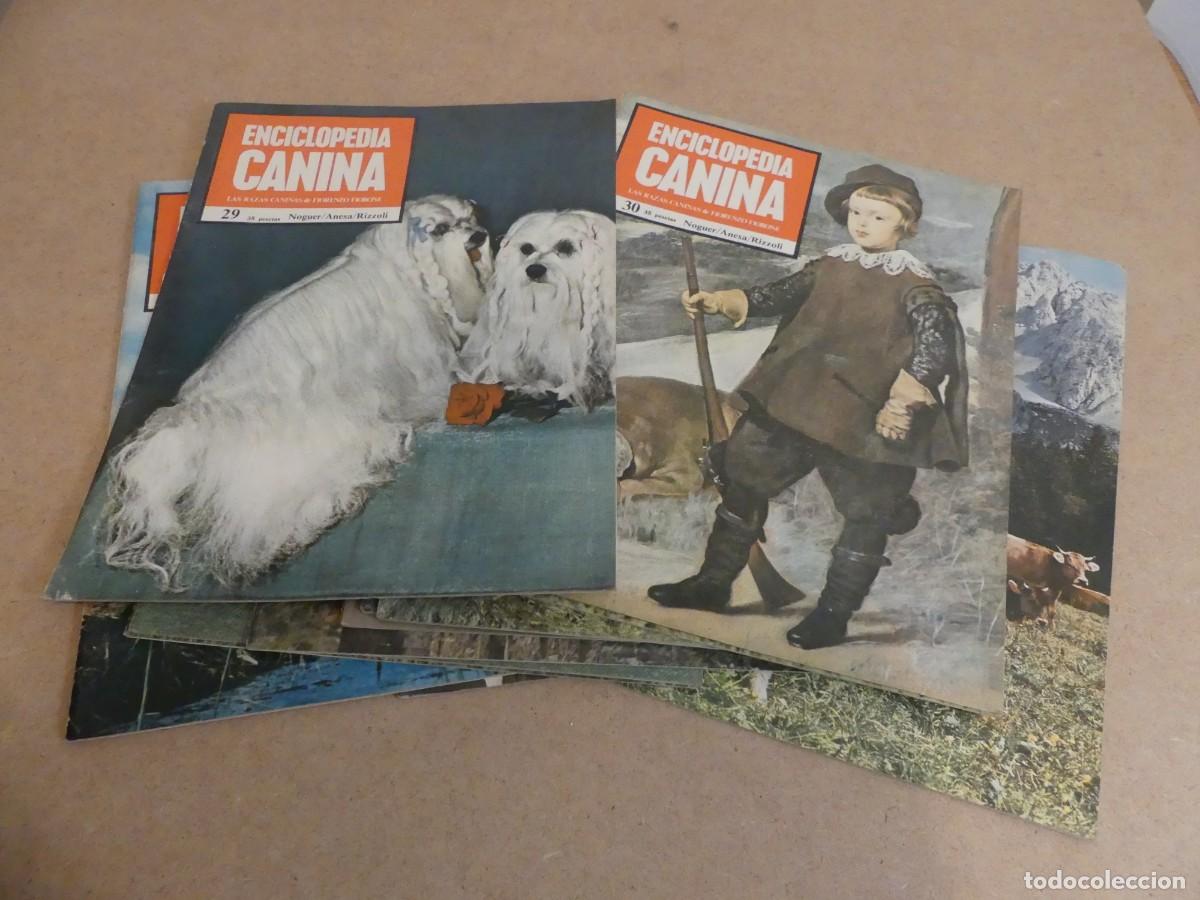 Enciclopedias de segunda mano: ENCICLOPEDIA CANINA - Foto 5