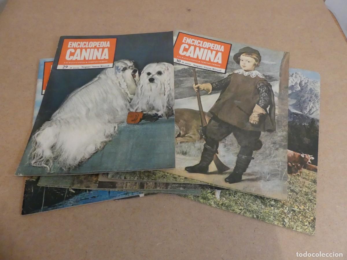Enciclopedias de segunda mano: ENCICLOPEDIA CANINA - Foto 8
