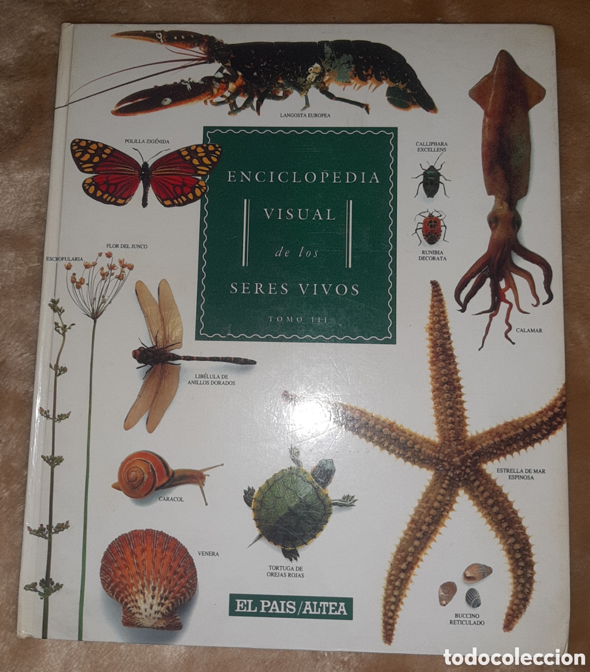 Enciclopedias de segunda mano: Enciclopedia visual de los seres vivos - Foto 2