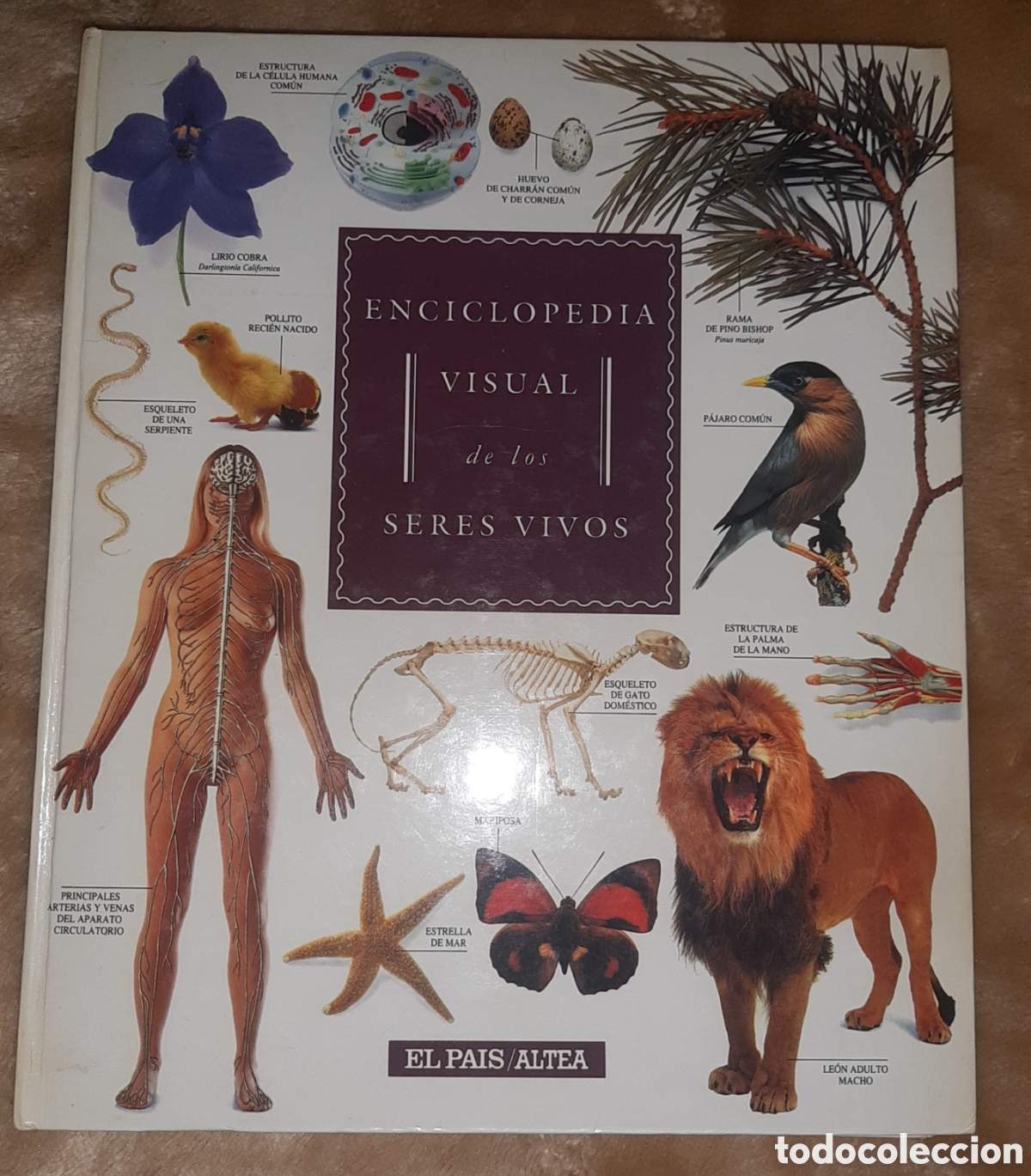 Enciclopedias de segunda mano: Enciclopedia visual de los seres vivos - Foto 3