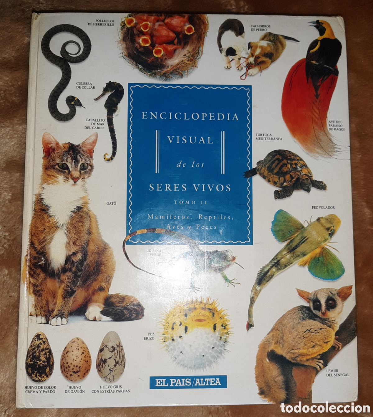 Enciclopedias de segunda mano: Enciclopedia visual de los seres vivos - Foto 4