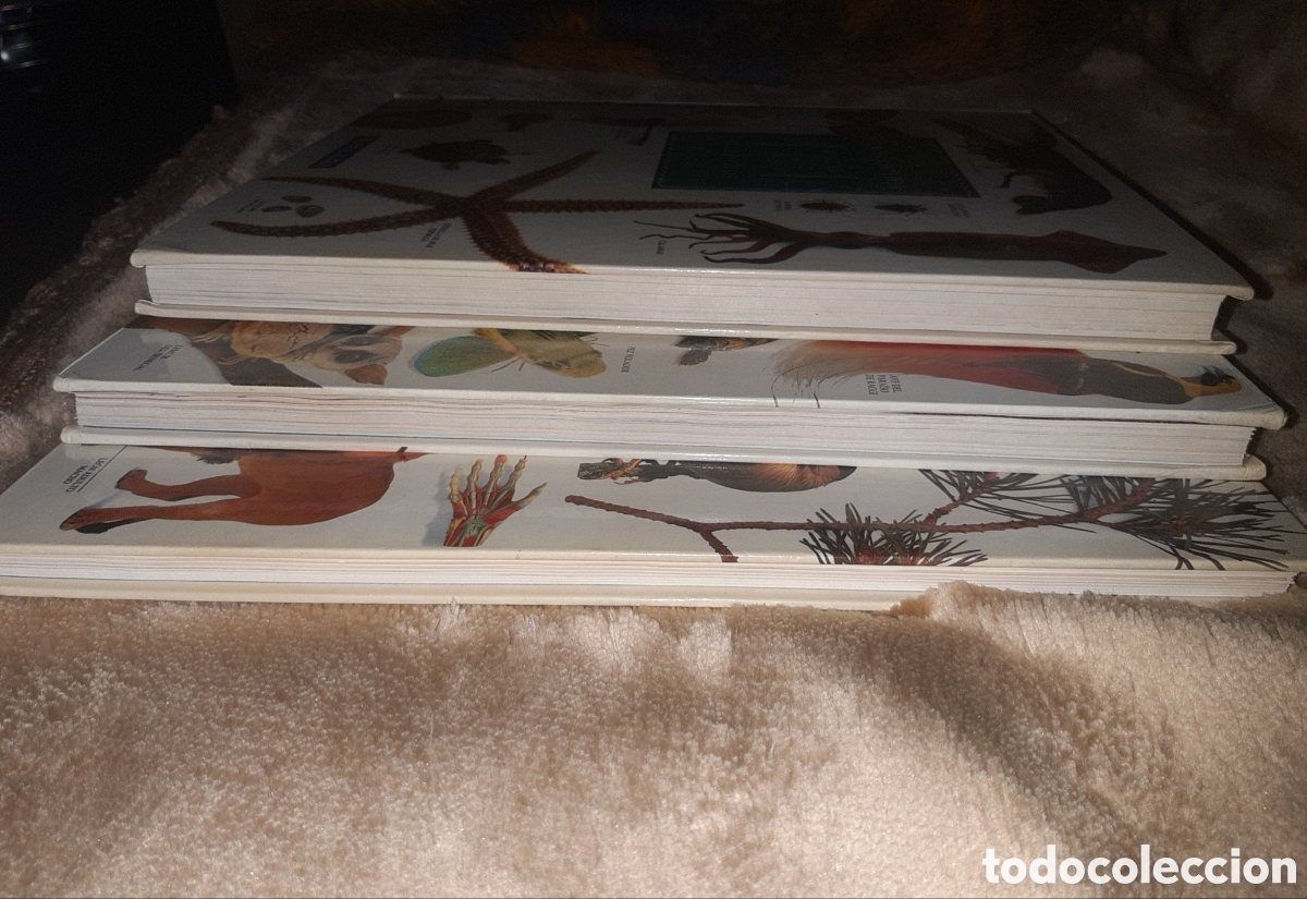 Enciclopedias de segunda mano: Enciclopedia visual de los seres vivos - Foto 6