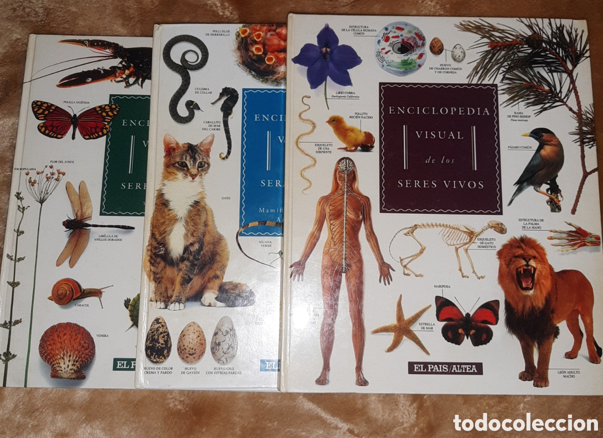 Enciclopedias de segunda mano: Enciclopedia visual de los seres vivos - Foto 1