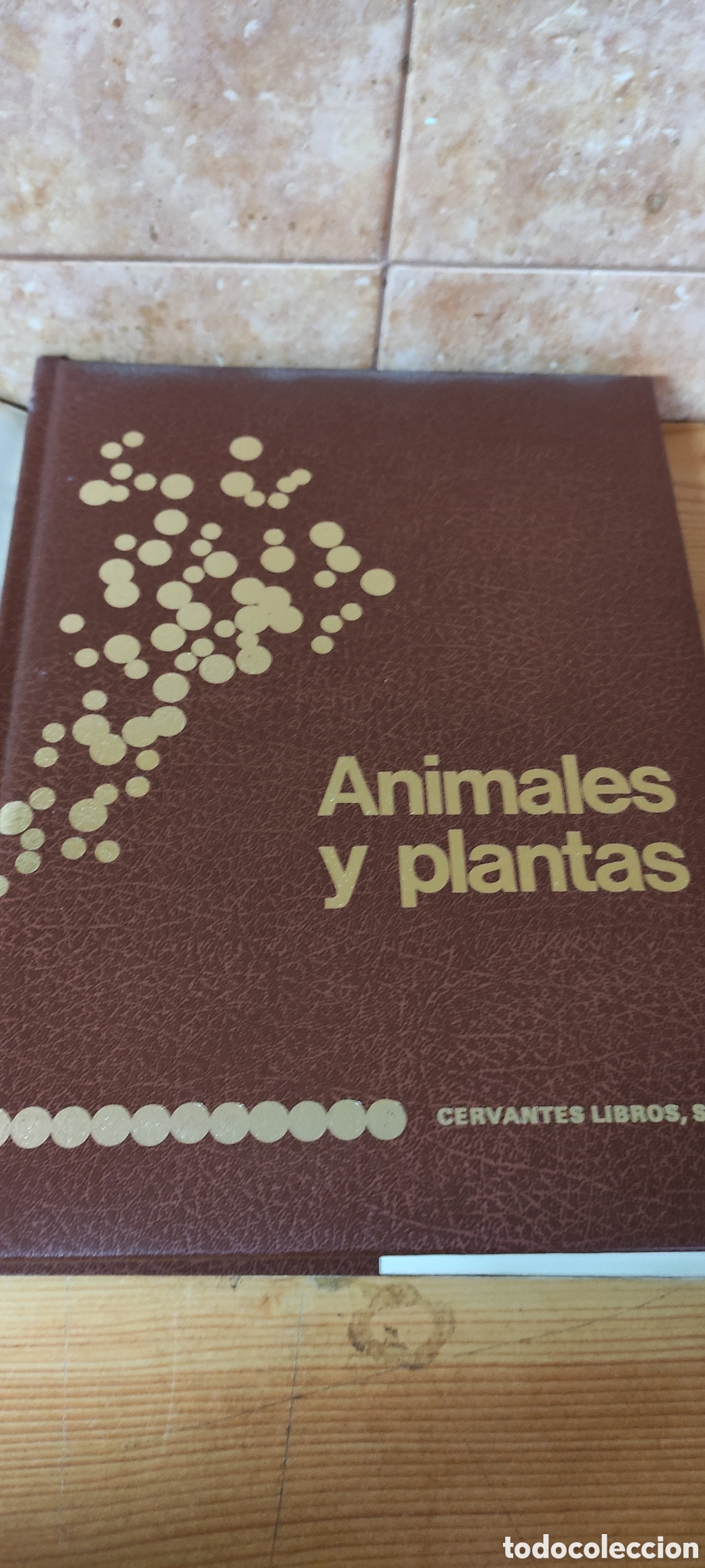 Enciclopedias de segunda mano: ANIMALES Y PLANTAS - Foto 2