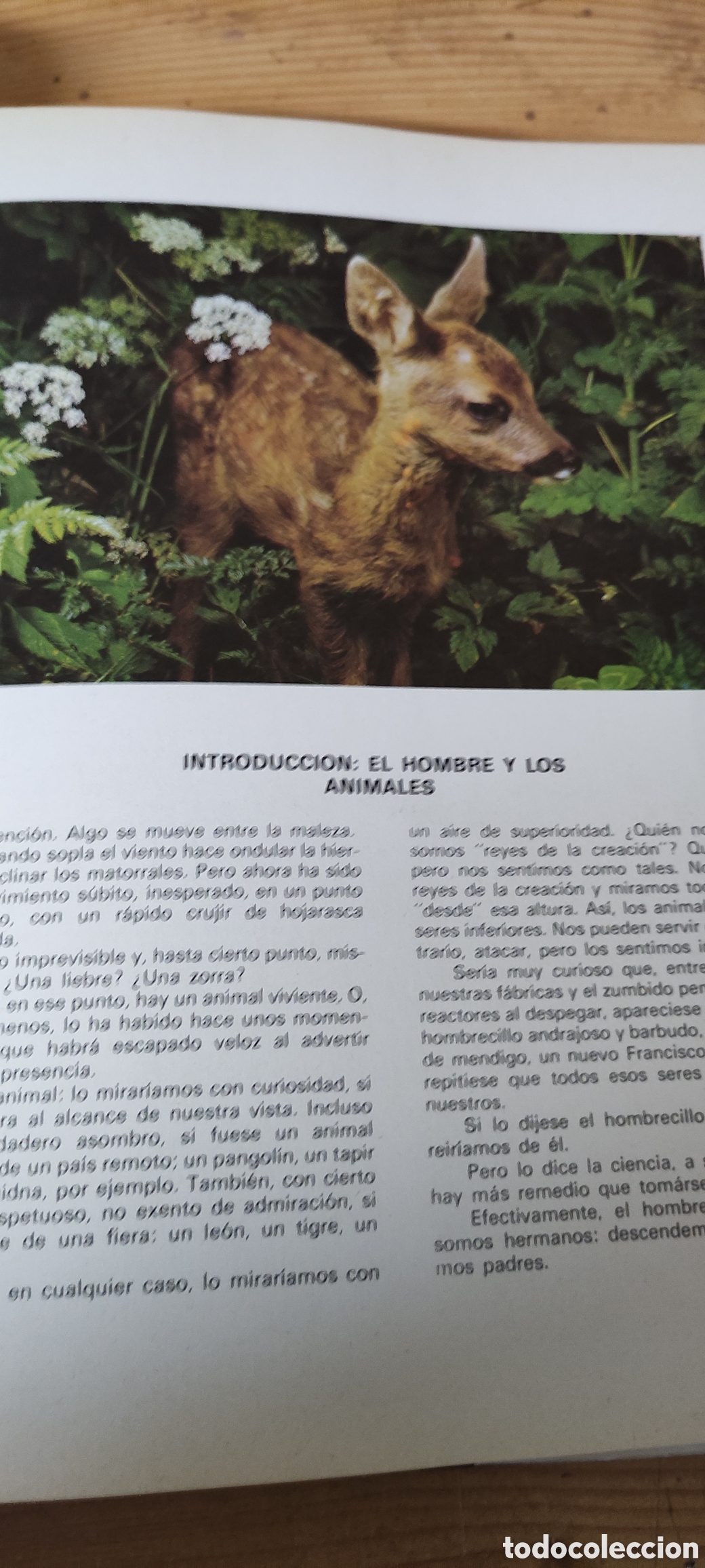 Enciclopedias de segunda mano: ANIMALES Y PLANTAS - Foto 4