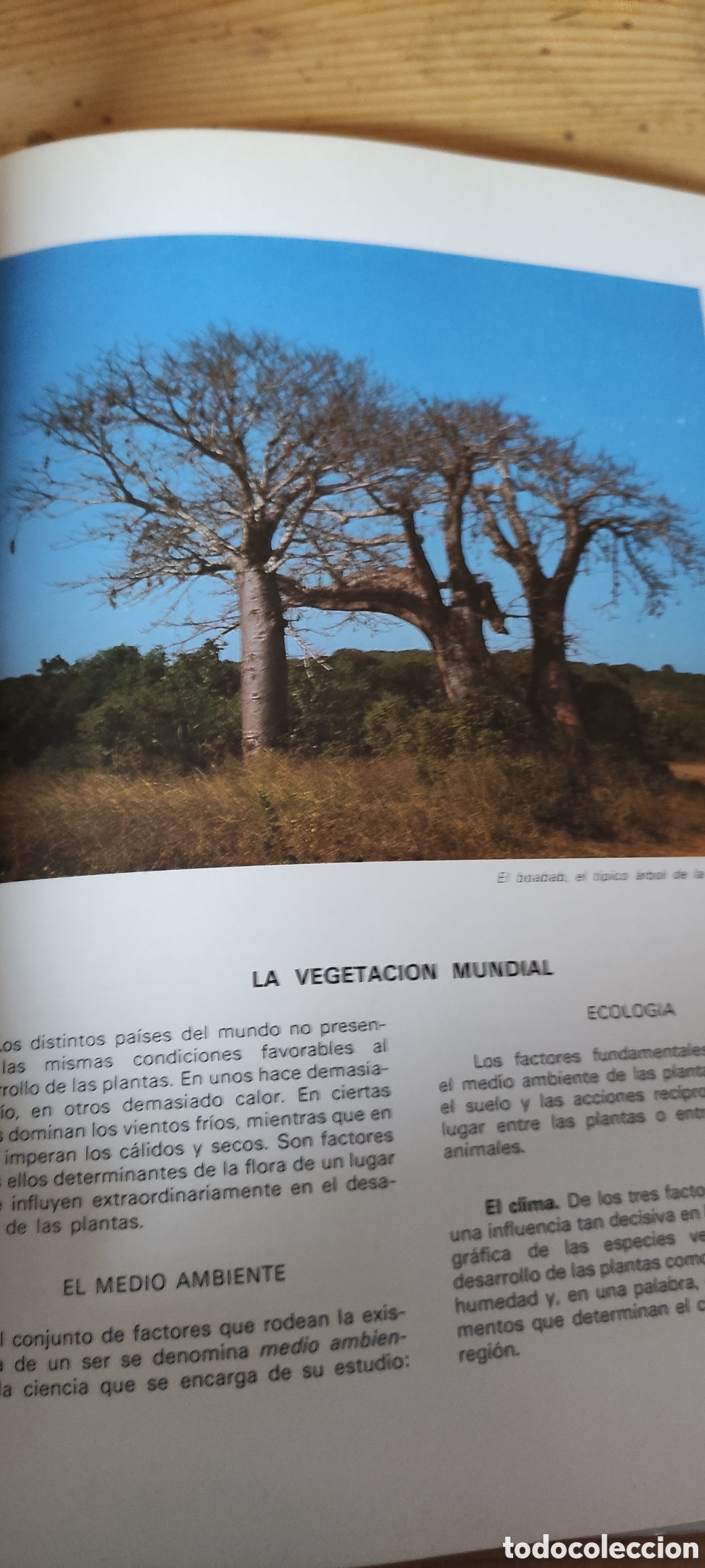 Enciclopedias de segunda mano: ANIMALES Y PLANTAS - Foto 9