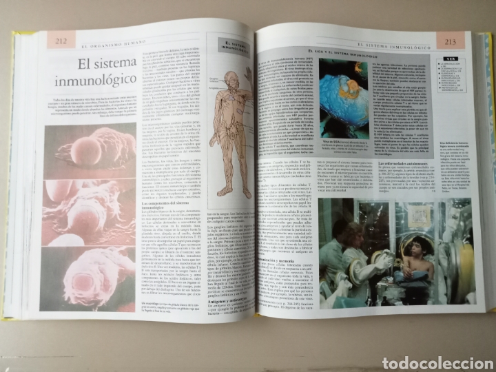 Enciclopedias de segunda mano: Enciclopedia tem&aacute;tica Guinness - Foto 4