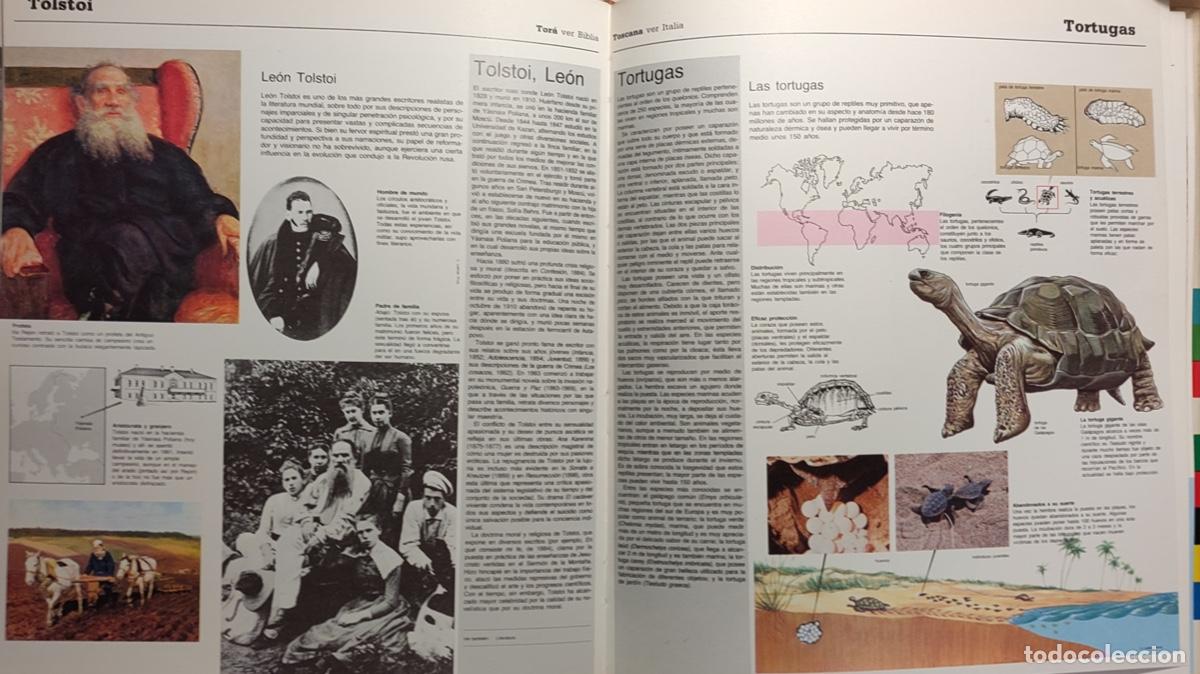 Enciclopedias de segunda mano: Enciclopedia B&aacute;sica Visual - Foto 2