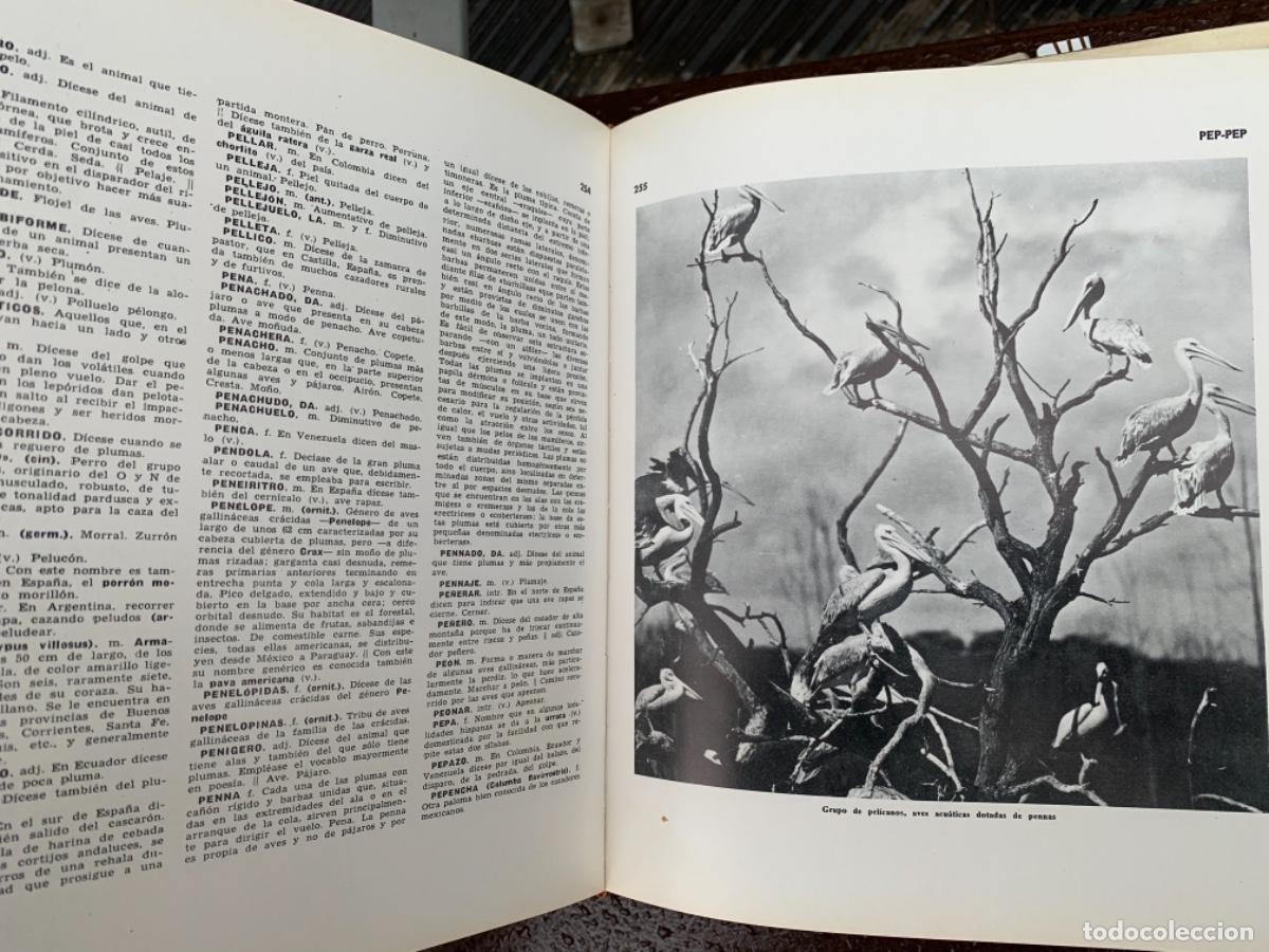 Enciclopedias de segunda mano: Enciclopedia universal de la Caza - Foto 4