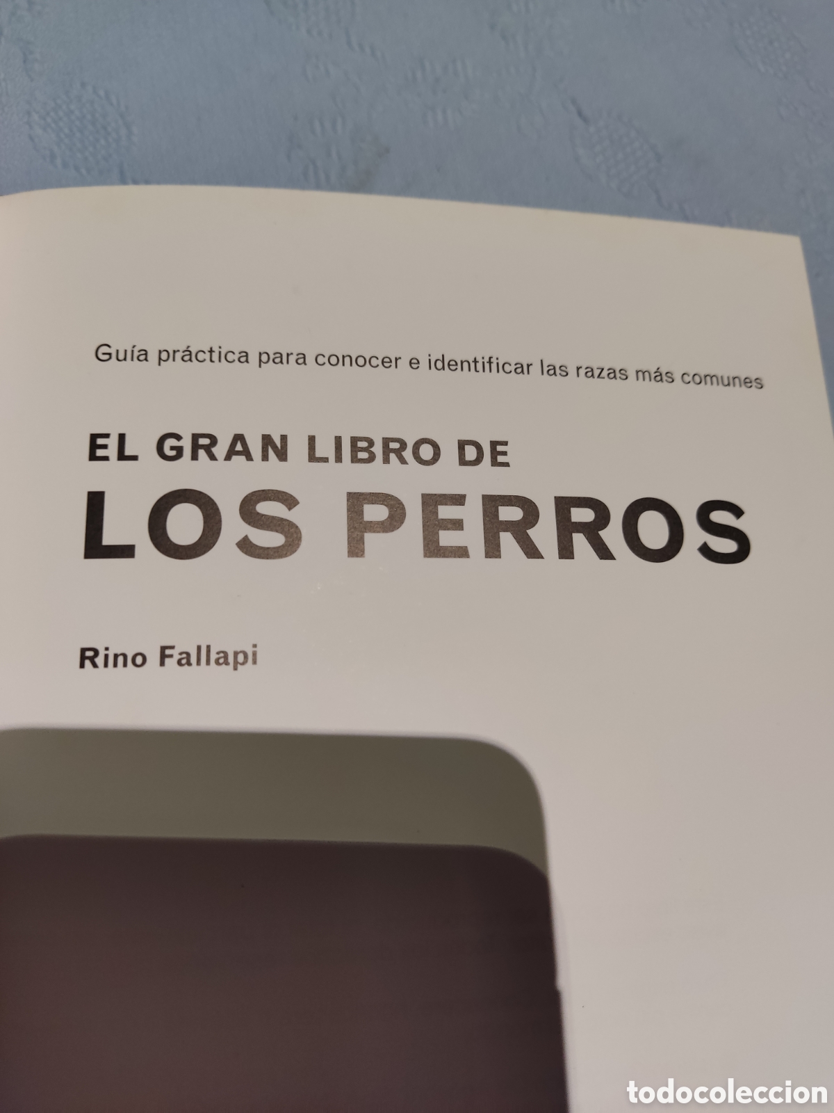 Enciclopedias de segunda mano: El gran libro de los perros fallapi - Foto 4