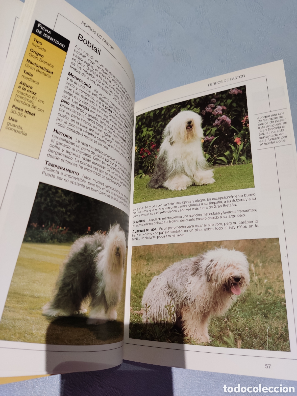 Enciclopedias de segunda mano: El gran libro de los perros fallapi - Foto 5