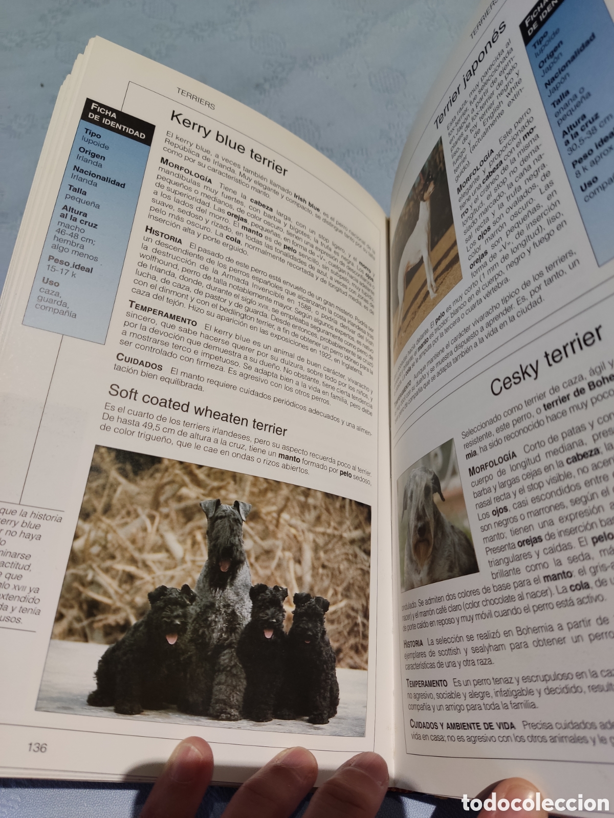 Enciclopedias de segunda mano: El gran libro de los perros fallapi - Foto 6