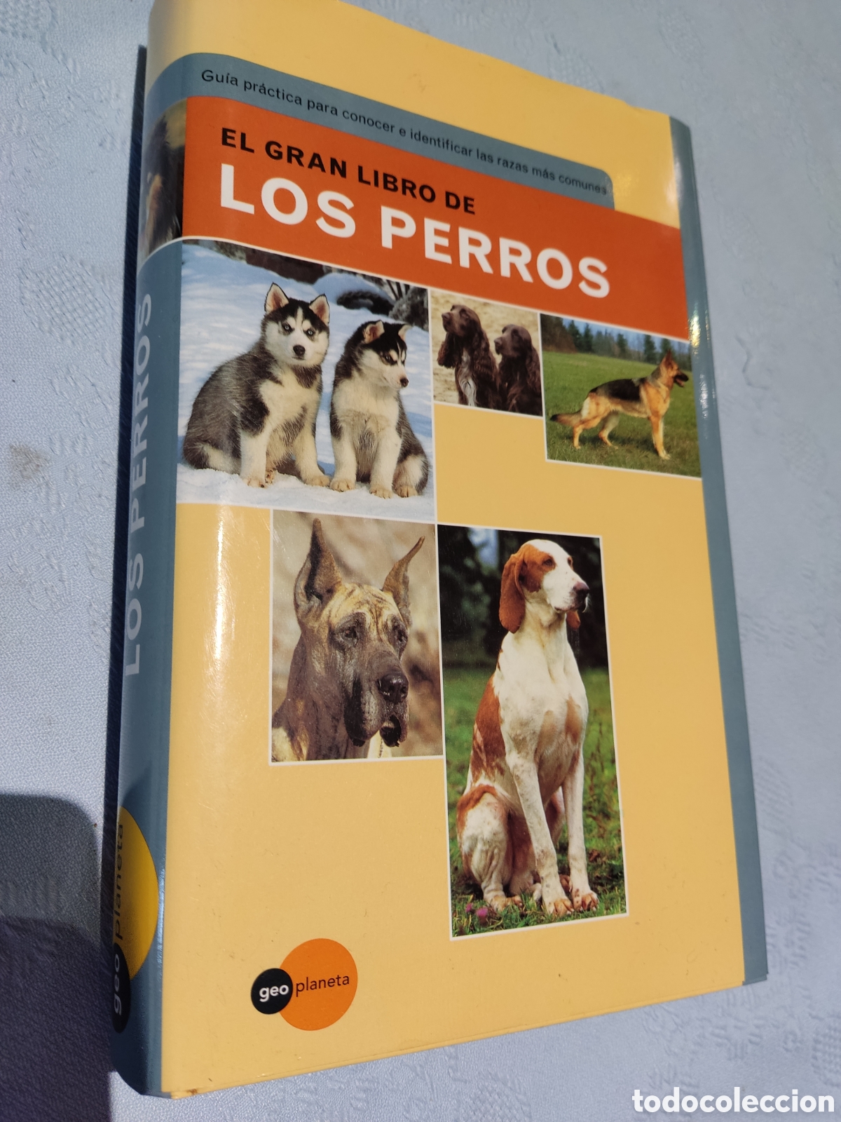 Enciclopedias de segunda mano: El gran libro de los perros fallapi - Foto 1