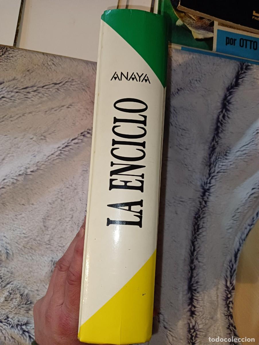 Enciclopedias de segunda mano: La enciclo Anaya - Foto 2