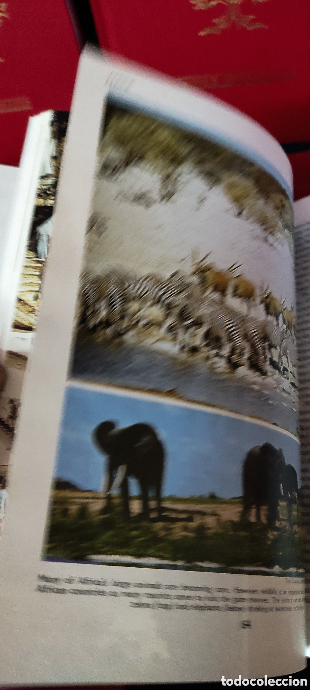 Enciclopedias de segunda mano: CHILDRENS BRITANNICA - Foto 12