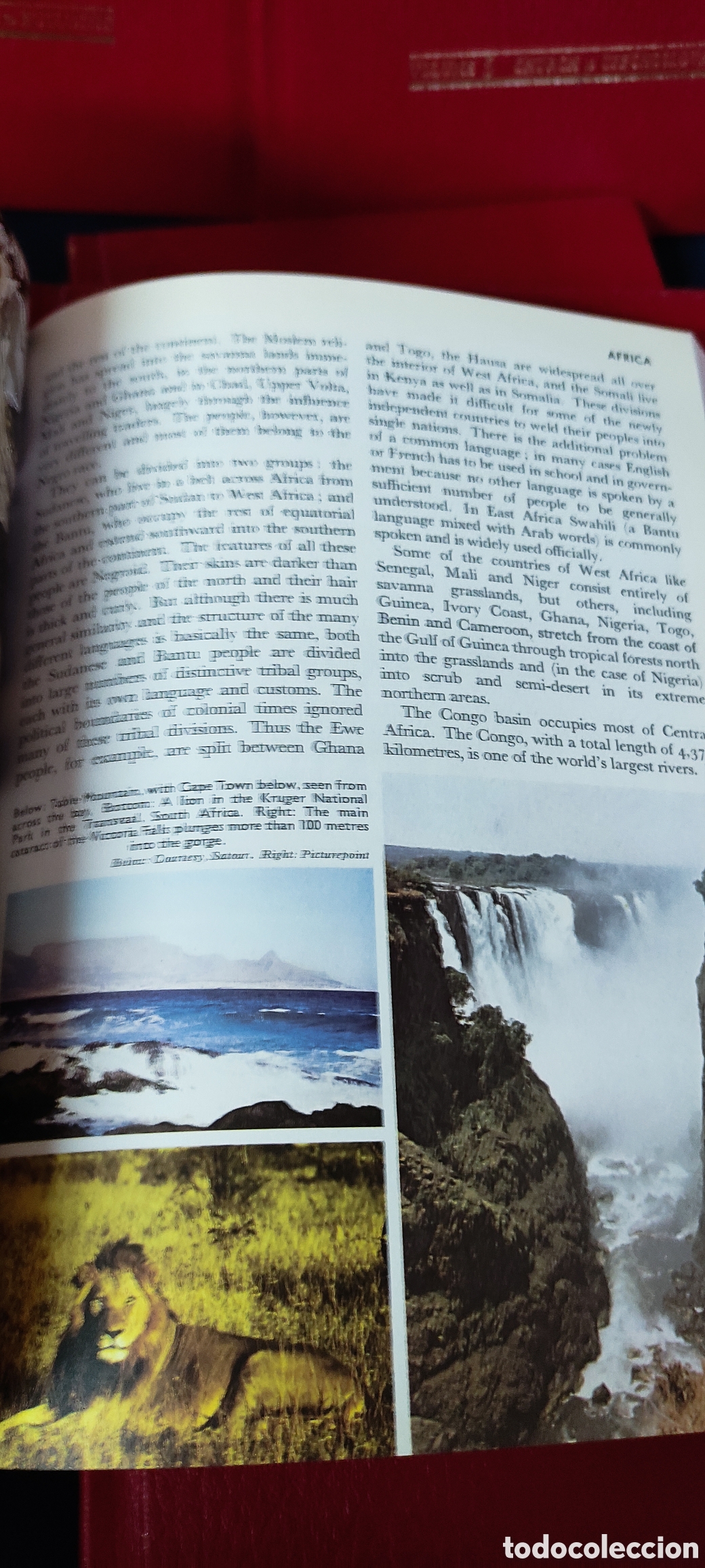 Enciclopedias de segunda mano: CHILDRENS BRITANNICA - Foto 13
