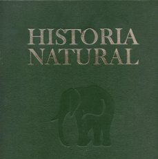 Enciclopedias de segunda mano: HISTORIA NATURAL. I ZOOLOGÍA Y VERTEBRADOS. INSTITUTO GALLACH 1973. Lote 401394319