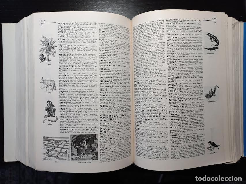 Enciclopedias de segunda mano: Peque&ntilde;o Larousse Ilustrado - Foto 2