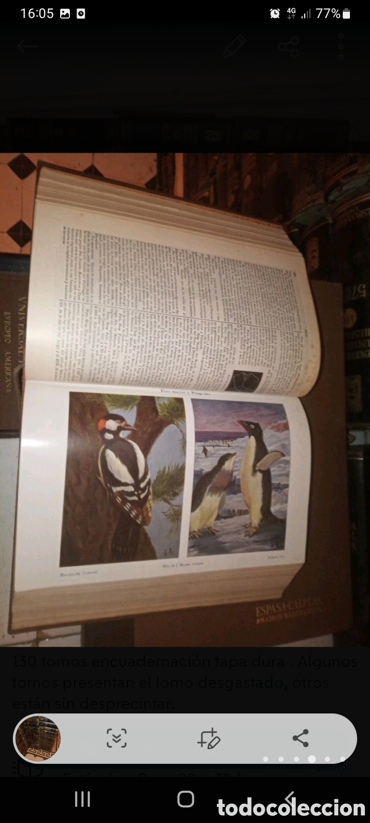 Enciclopedias de segunda mano: Enciclopedia universal ilustrada. - Foto 4
