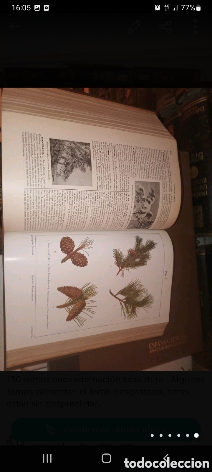 Enciclopedias de segunda mano: Enciclopedia universal ilustrada. - Foto 2