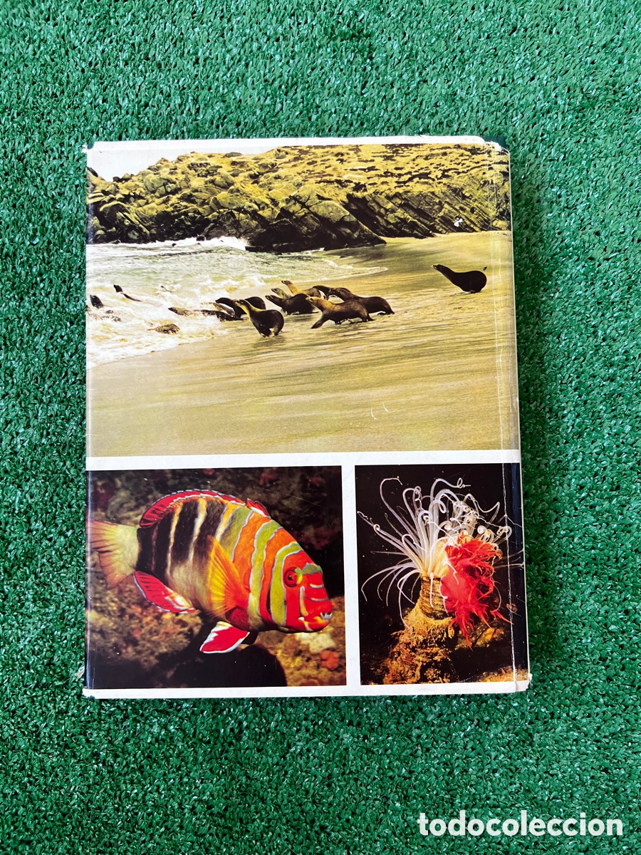 Enciclopedias de segunda mano: Libro secretos del mar - Foto 2